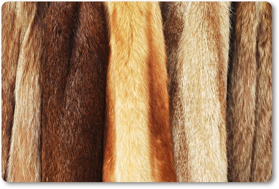 �є甃��b���s���ӂŖє��������������Ă��炤�Ȃ�R�R����ԁI